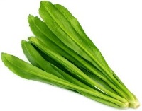Stinking/Thai parsley 